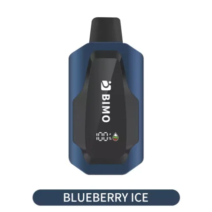 BIMO GTI 40000 Blueberry Ice