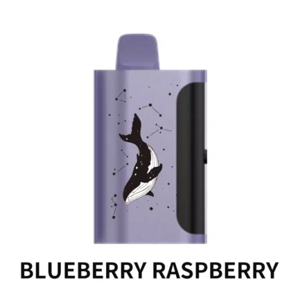 PICCO STAR 40000 Blueberry Raspberry