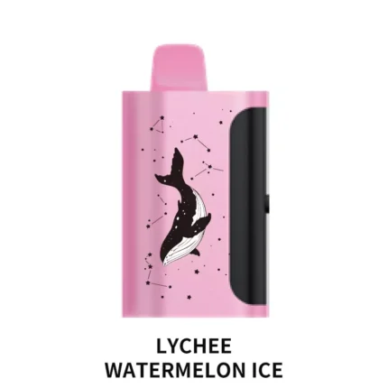 PICCO STAR 40000 Lychee Watermelon Ice